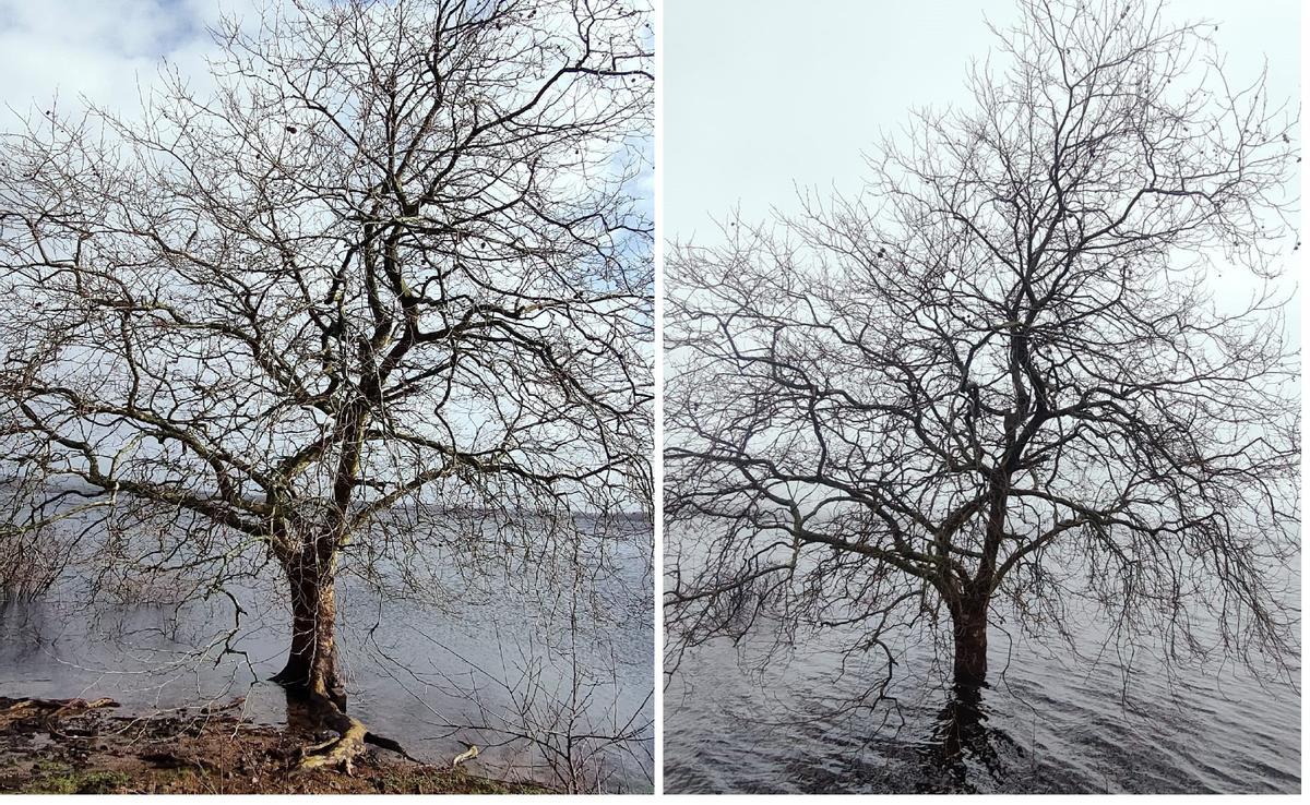Subida de caudal entre domingo y domingo en A Fervenza.
