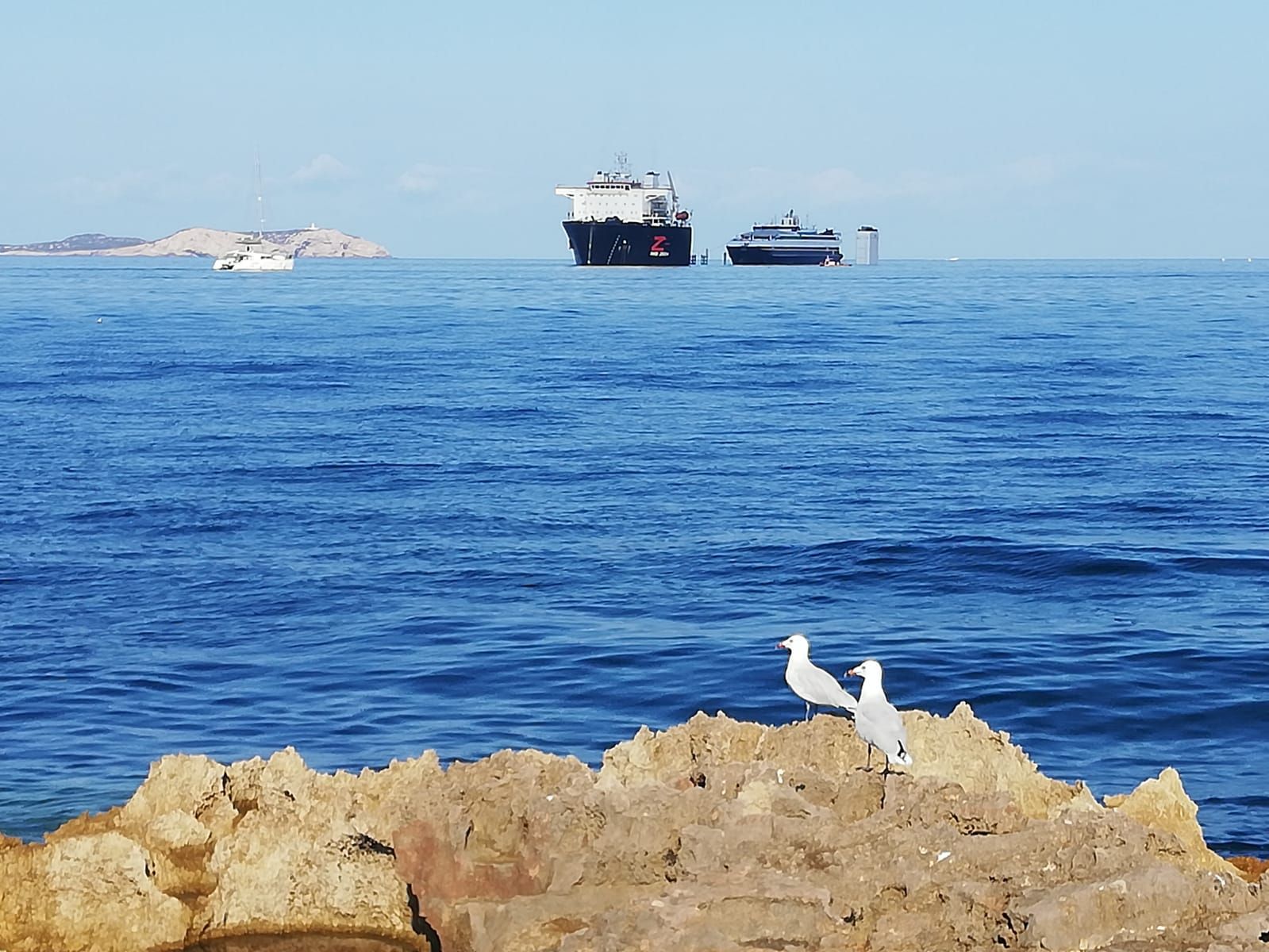 El carguero 'Red Zed 1' libera los bueques de Trasmapi en la bahía de Sant Antoni