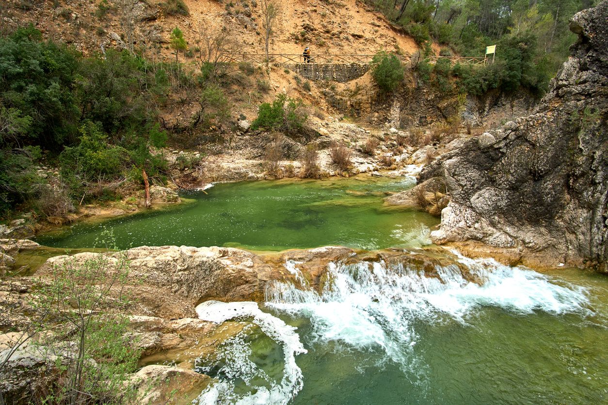 Los ríos españoles están viendo cambiar su fauna