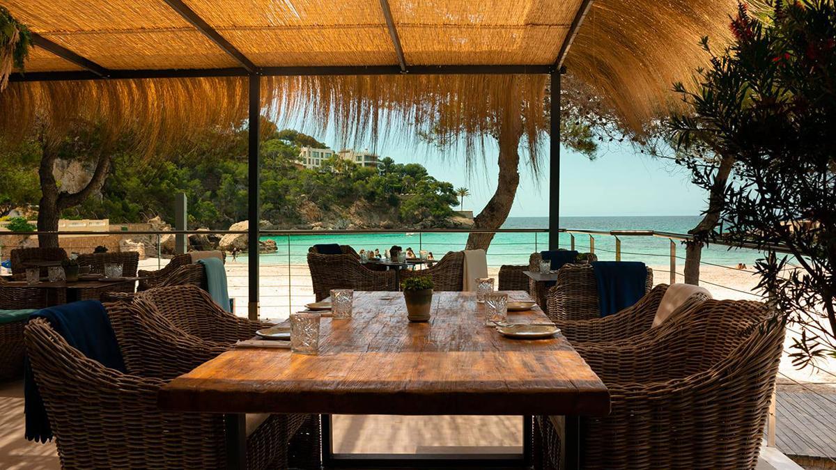 En este beach club podrán disfrutar de la combinación perfecta entre un entorno natural privilegiado, gastronomía, música y bebida