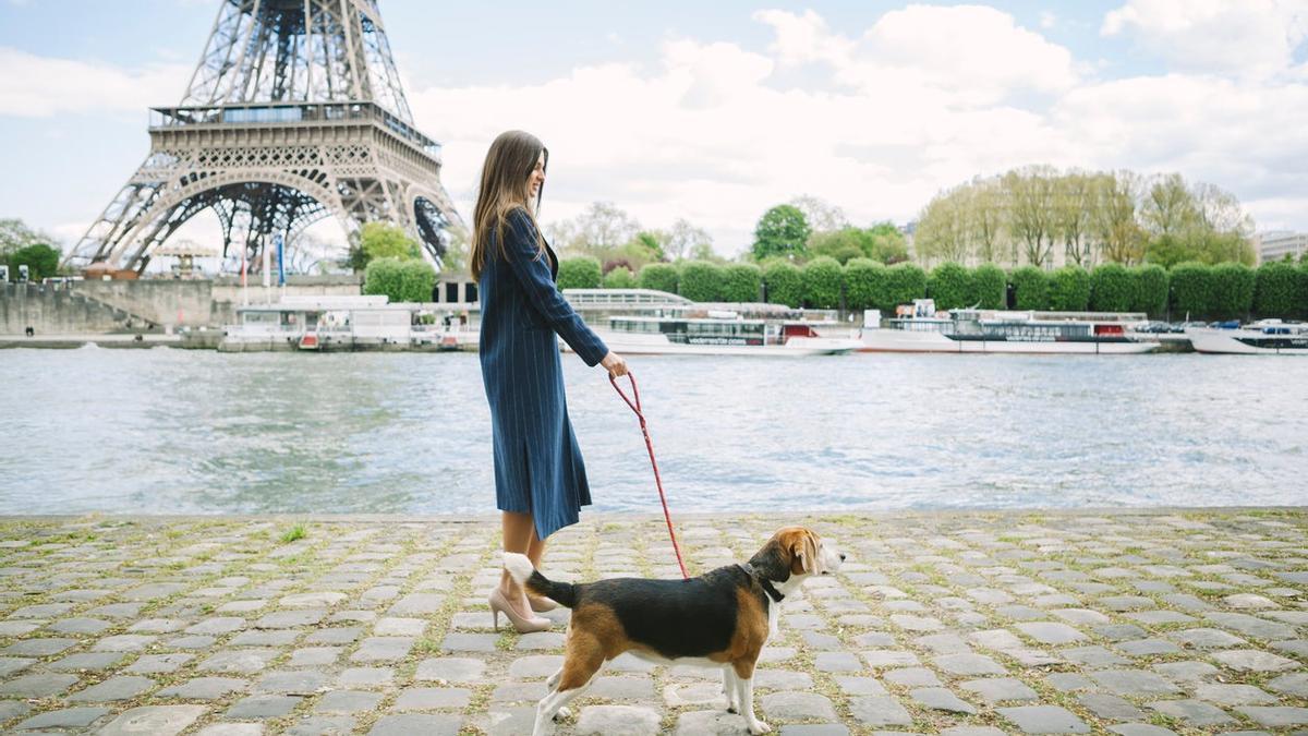 Paris, perros