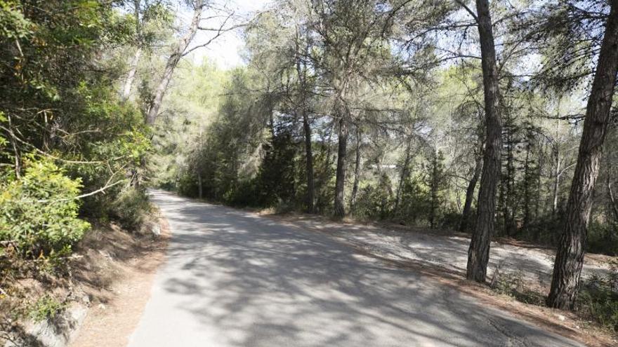 Imagen del tramo del camino de Benimussa en el que se produjo el accidente que acabó con la vida del ciclista. | V.MARÍ