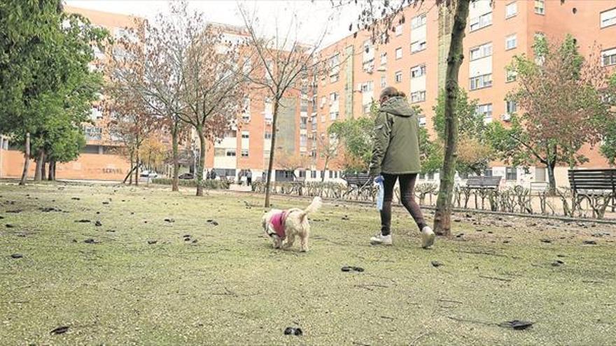 Los vecinos de Los Fratres, en Cáceres, hartos de sortear las heces de los perros