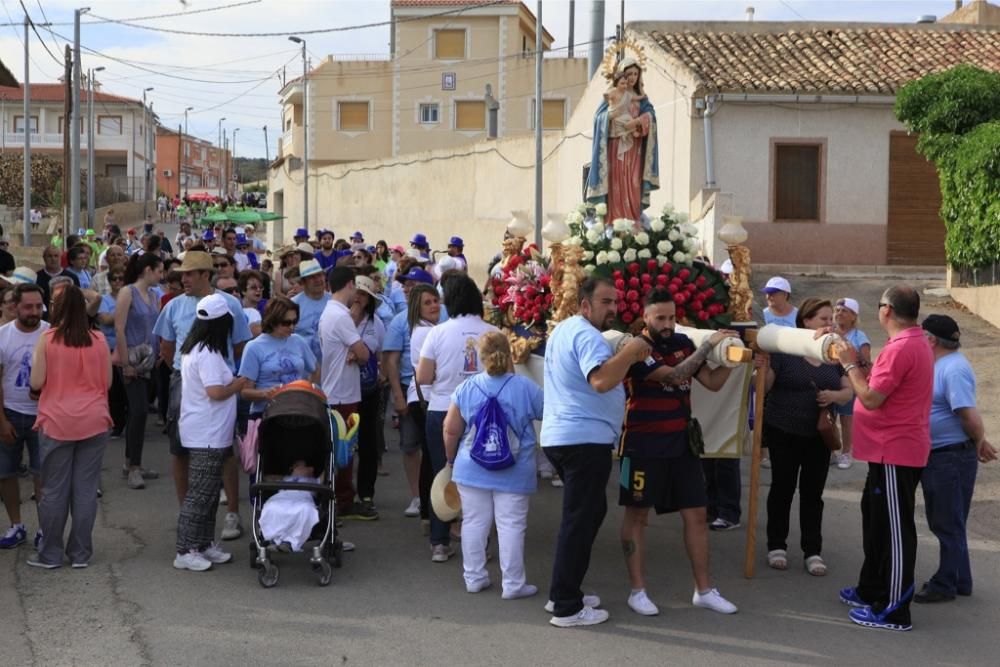 Romería de la Virgen del Rosario en Barinas