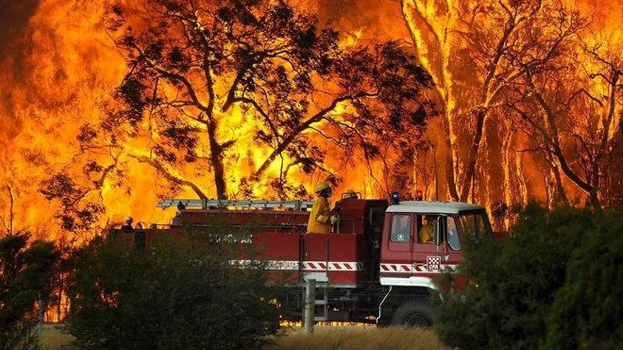 Los incendios forestales arrasan 575.000 hectáreas en Australia desde julio