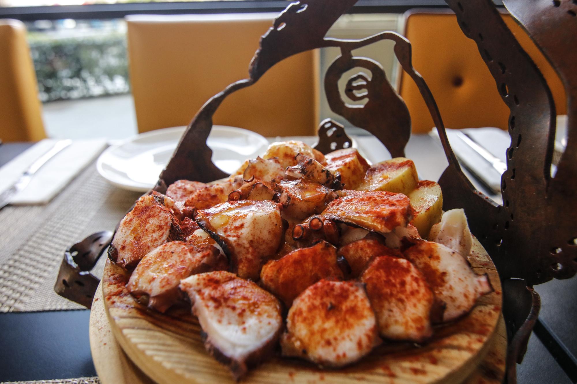 Pulpo a feira en una original presentación que solo encontrará en AlcaraVán Gastroteca.