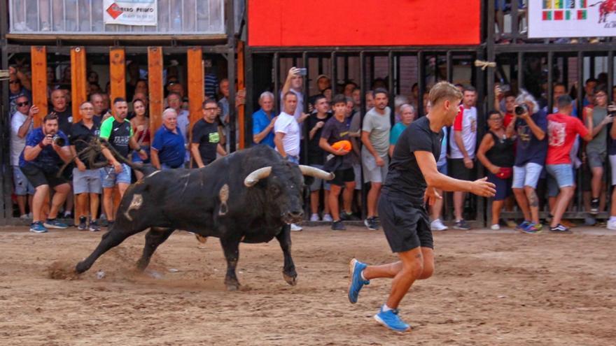 Tres toros para cuatro exhibiciones en el día más taurino de las fiestas de Nules