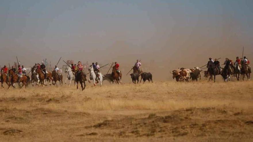 Salida de los toros en el espanto de Carbajales el pasado día 10.