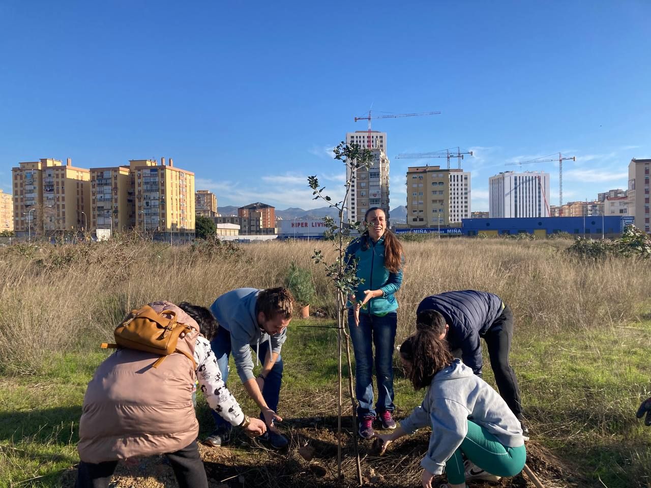 Bosque Urbano planta otros 30 árboles en los antiguos terrenos de Repsol