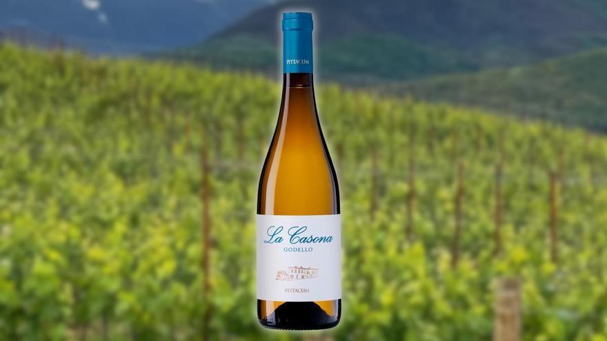 El vino La Casona de Pittacum, el nuevo 'godello' en el Bierzo de Terras Gauda