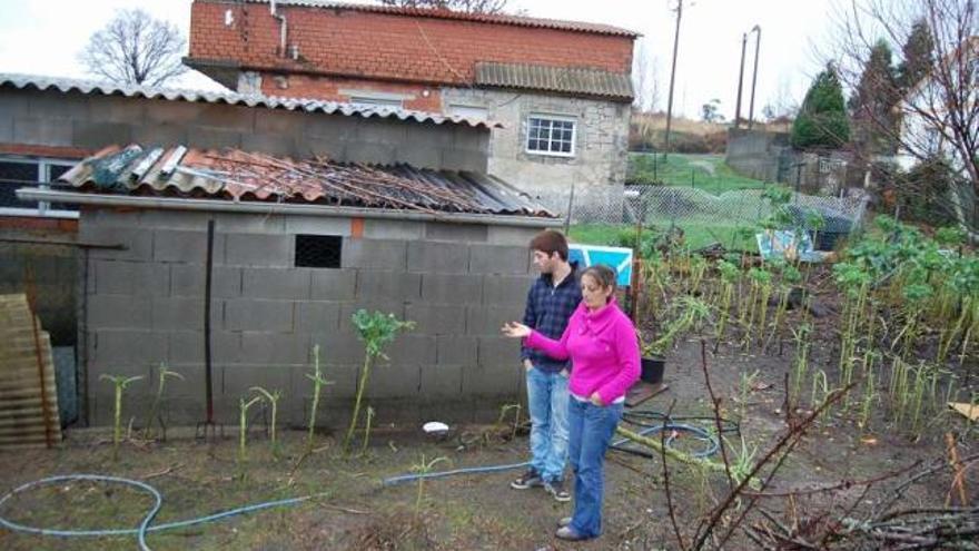 Lupe González, junto a su hijo, muestra el lugar de la huerta donde estaba la planta de marihuana.  // Faro