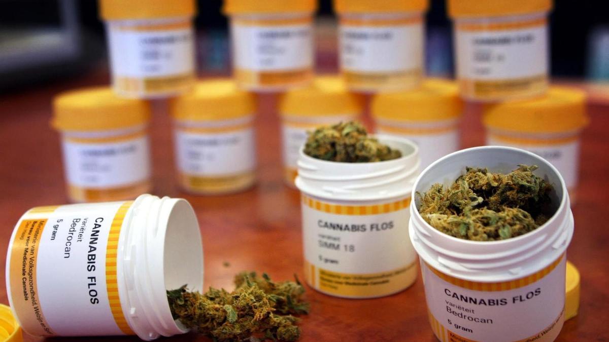 Productos a base de cannabis medicinal