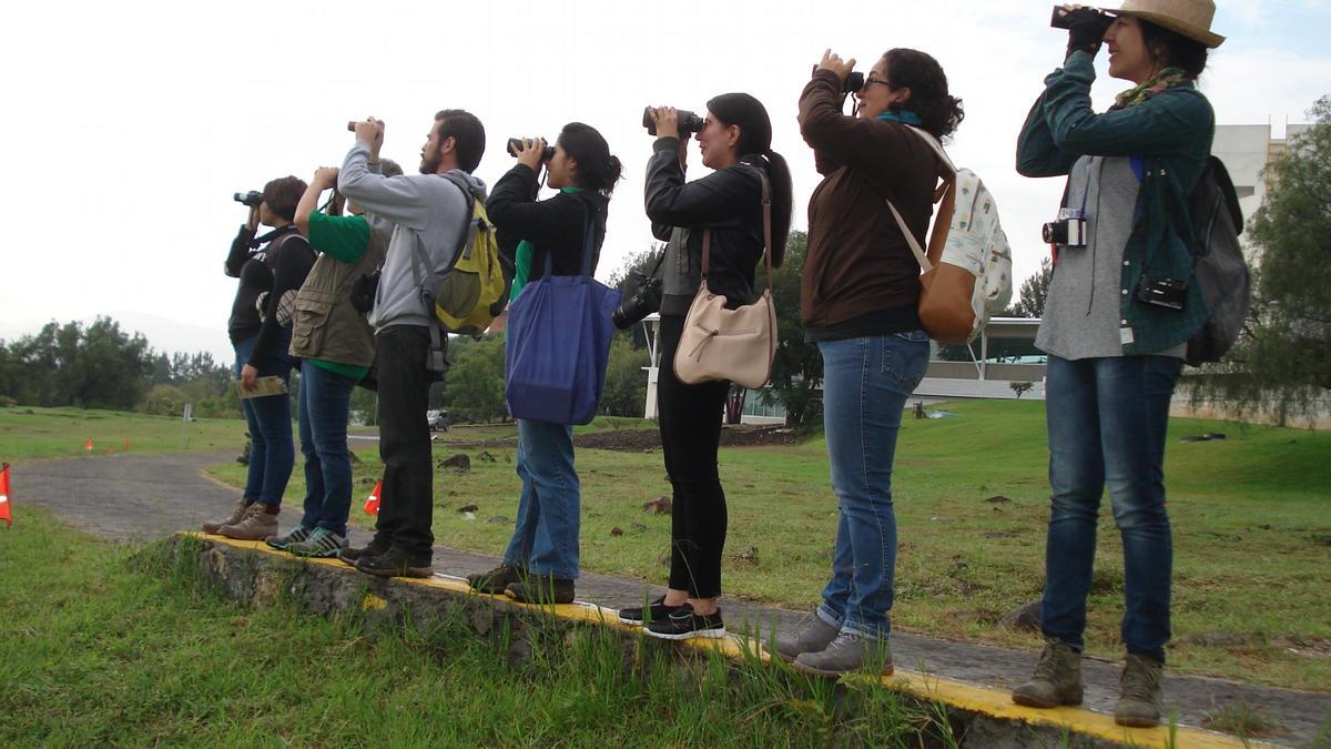 Observación de aves