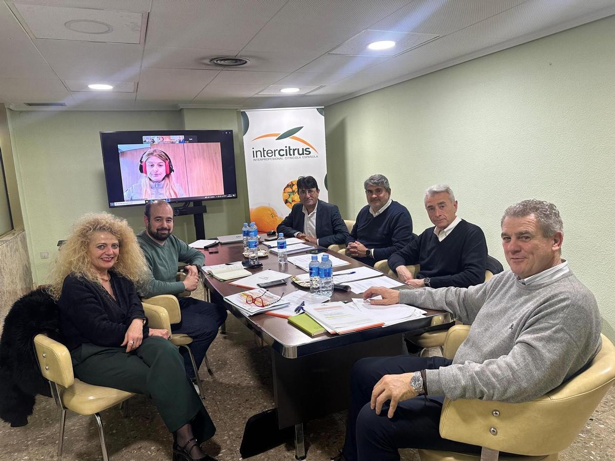 Reunión de los dirigentes de Intercitrus, en una imagen de 2025.