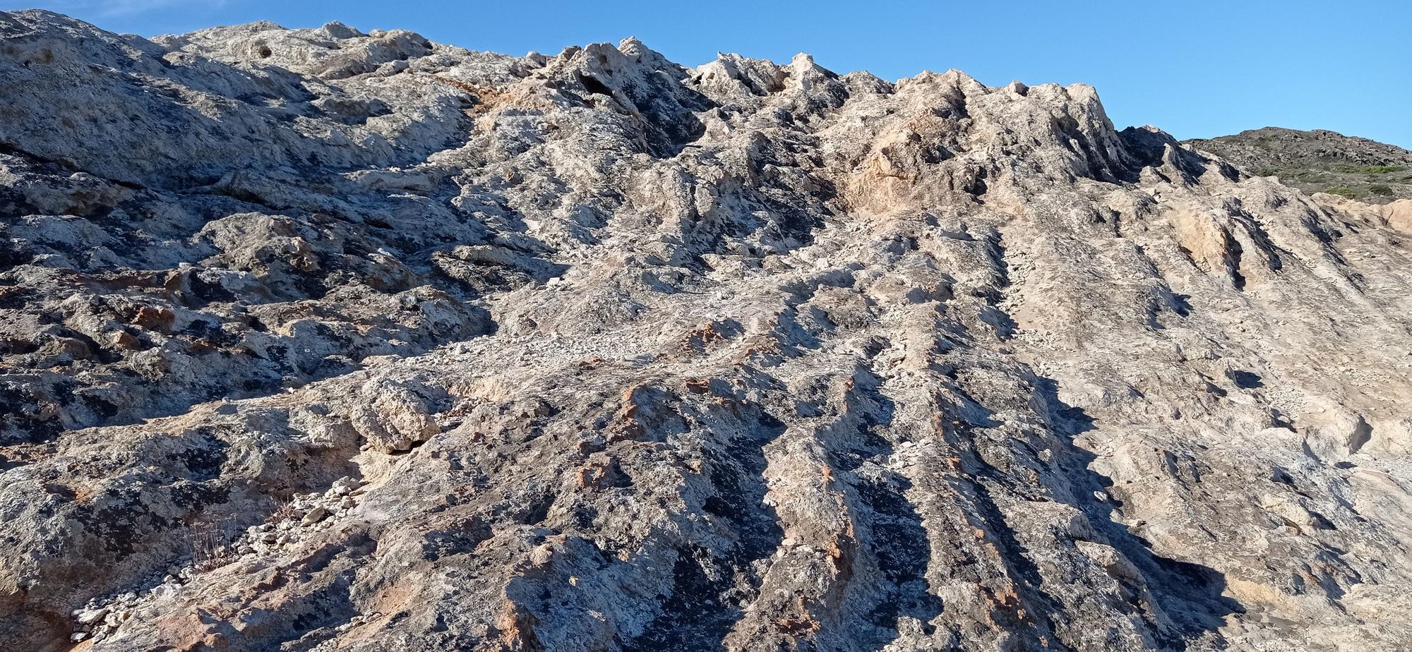 Els docents de l'Alt Empordà adquireixen els coneixements de l'entorn al cap de Creus