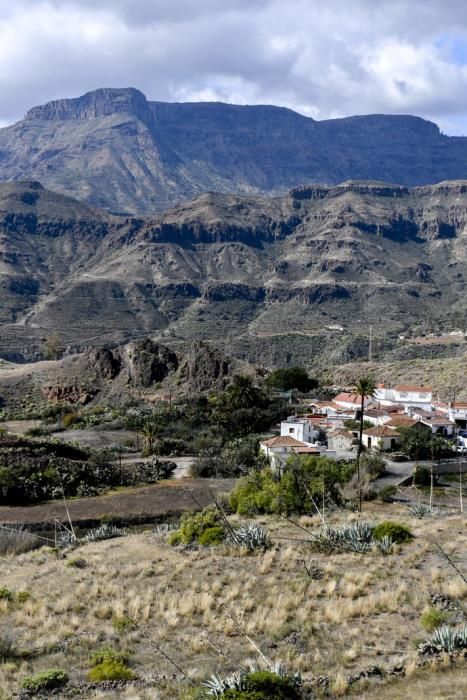 GRAN CANARIA 26-01-2019  SANTA LUCIA DE TIRAJANA-SAN BARTOLOME DE TIRAJANA. Fotos al macizo de Amurga. Fotos a los terrenos de la familia de Román comprados por el Cabildo.  FOTOS: JUAN CASTRO