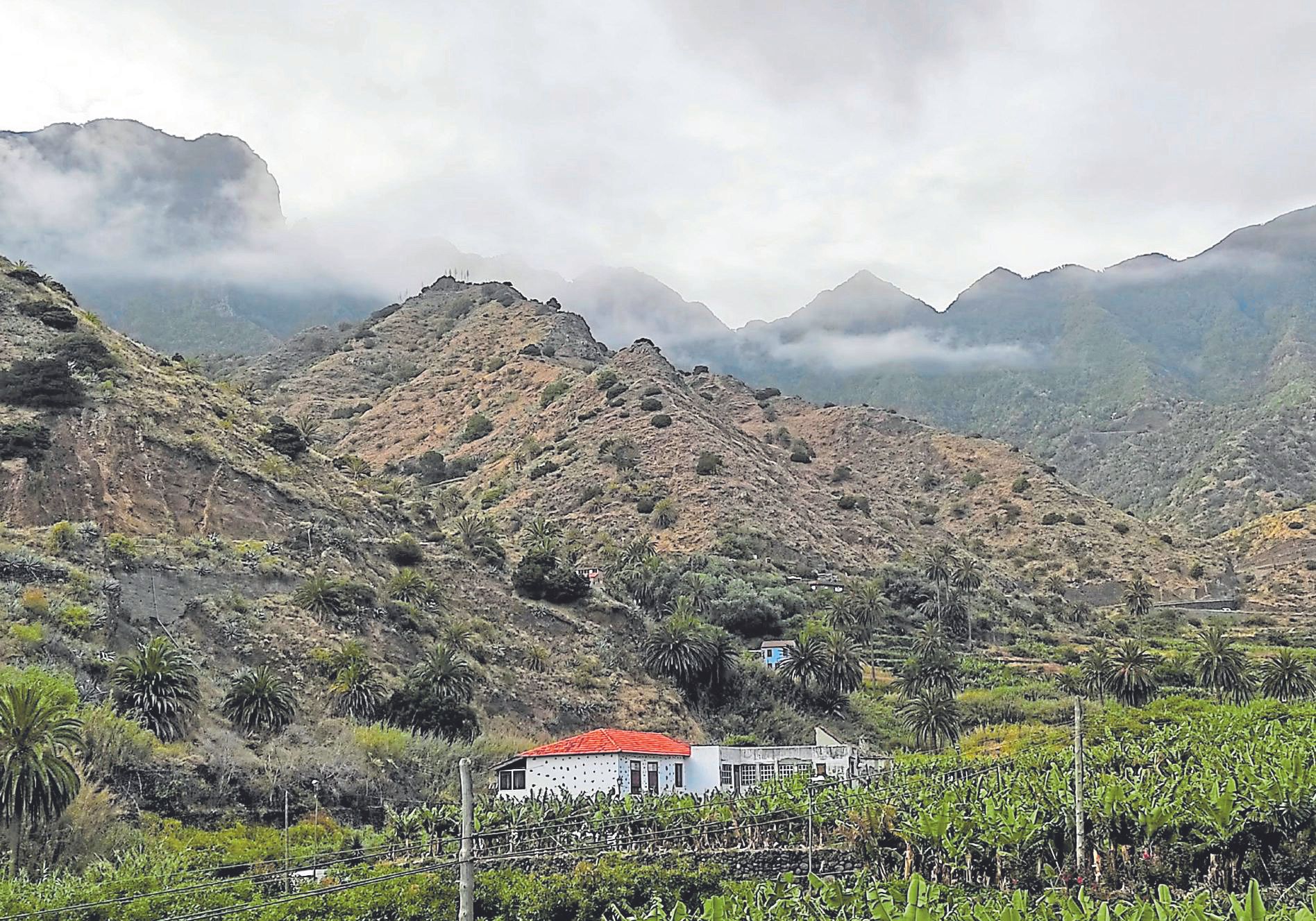 Llanos de plataneras desde la azotea de una casa típica al norte de La Gomera