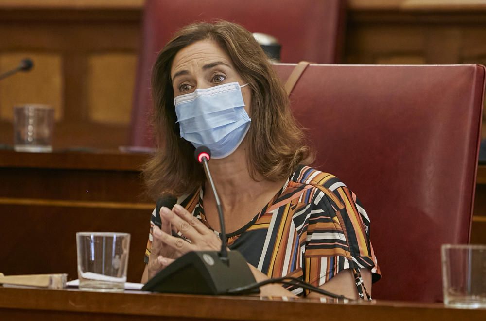 Comisión de Control del Ayuntamiento de Santa Cruz