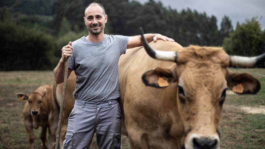 Esto es lo que pasa cuando las vacas alcanzan el estado zen