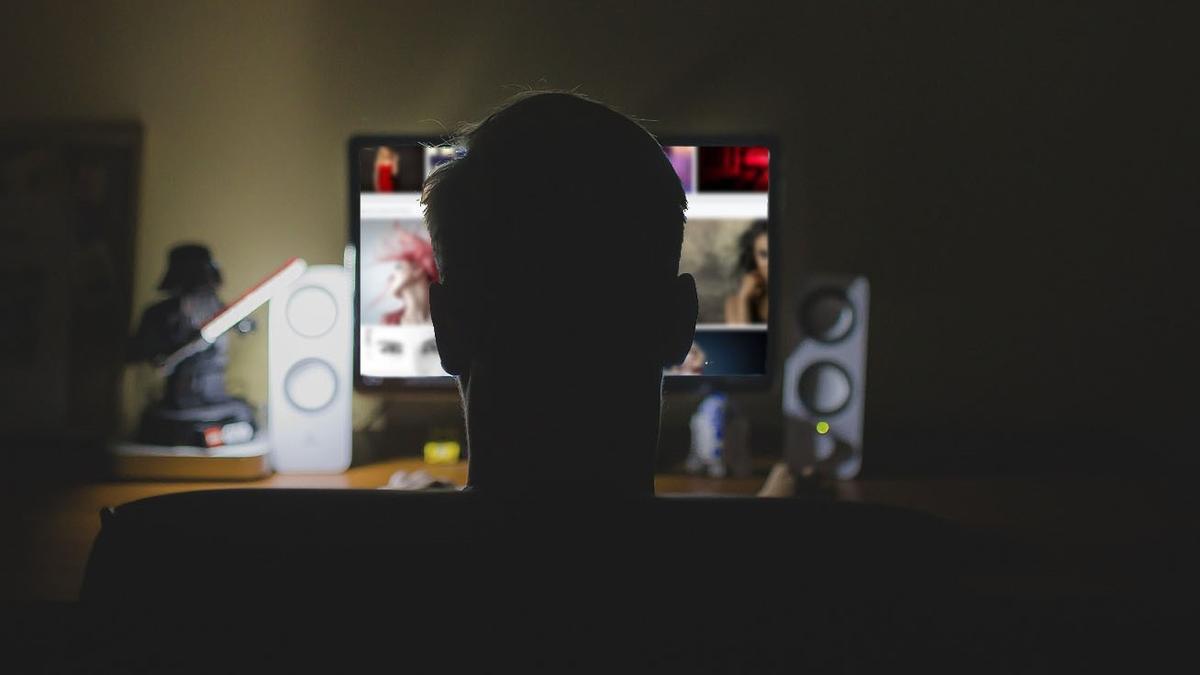 Un home navega per Internet, en una imatge d'arxiu.