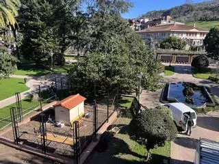 Villaviciosa ultima la reforma del aviario del jardín histórico de La Ballina, que cumplirá con toda la normativa de protección animal y sanidad