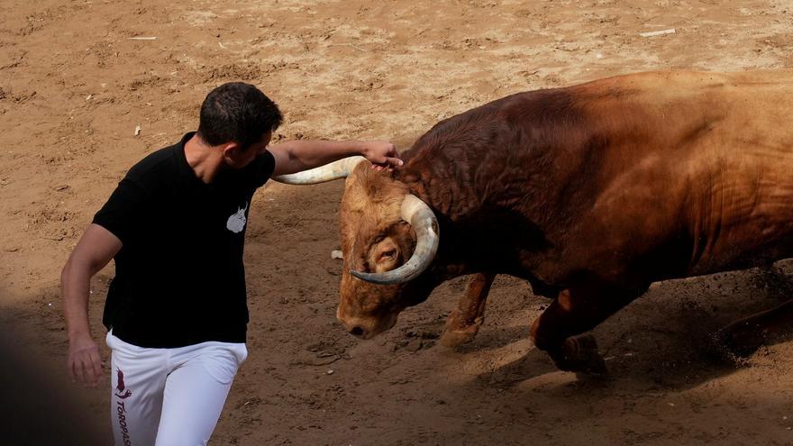 Las mejores imágenes de la última jornada de las fiestas de Almassora