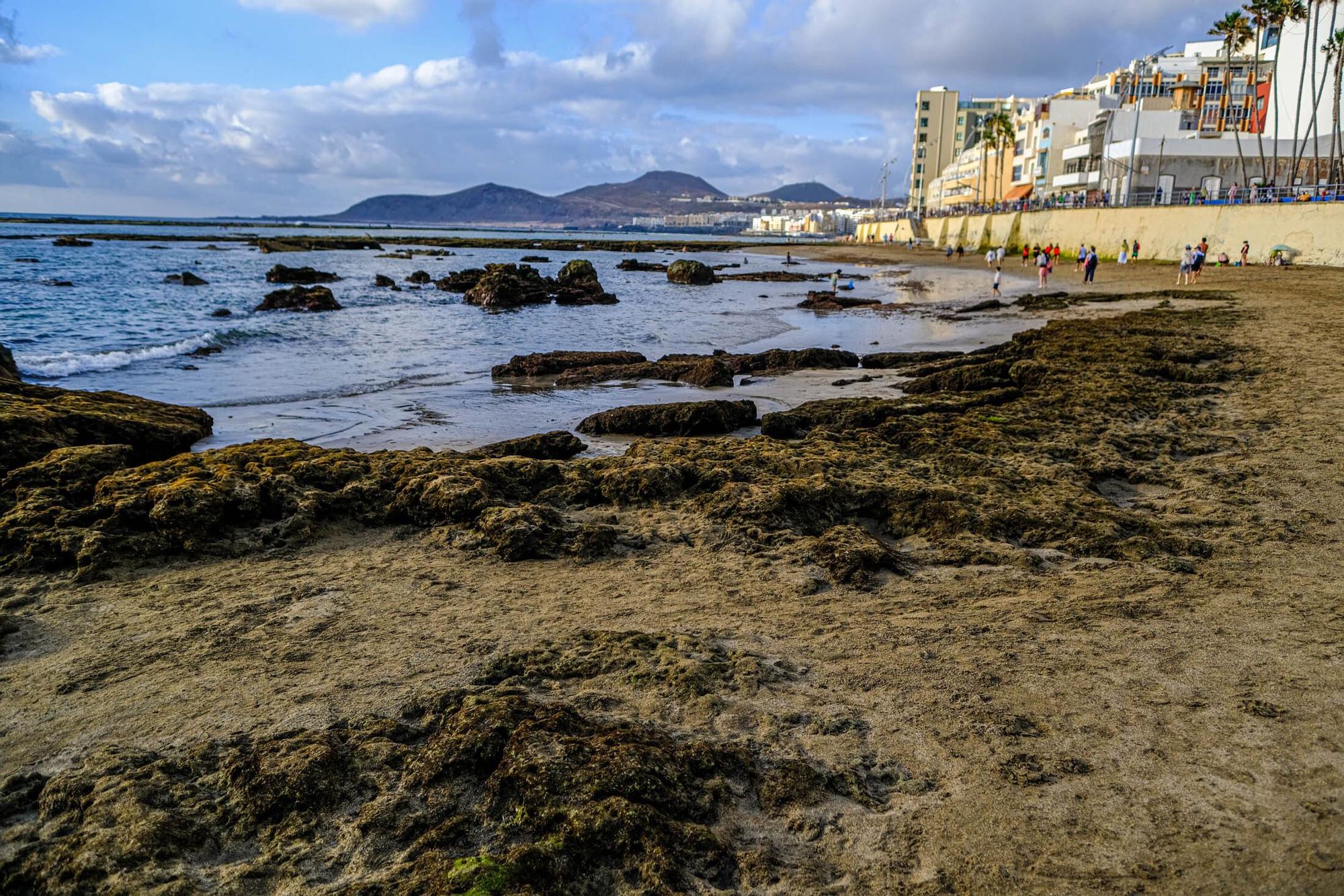 Playas fósiles de Las Canteras