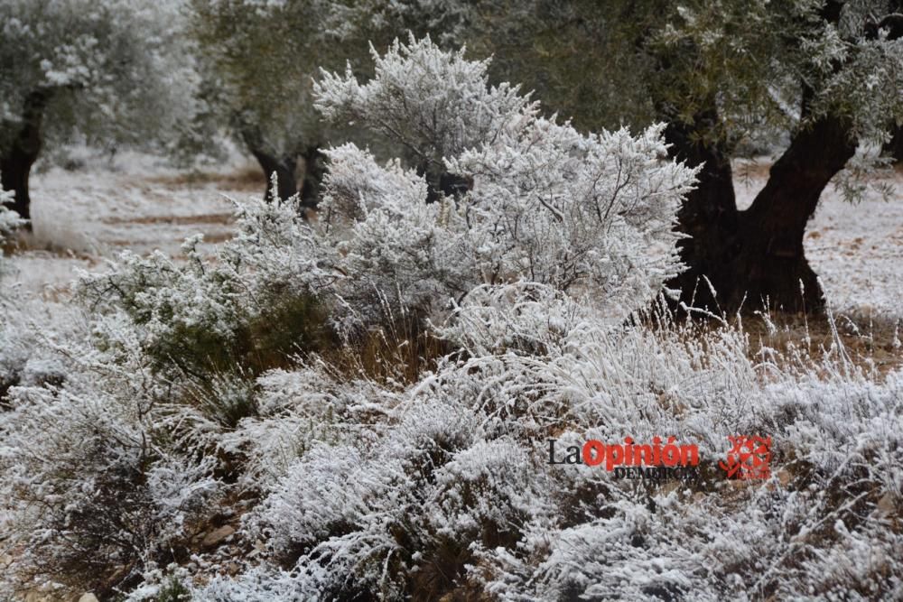 Nieve en el Altiplano murciano