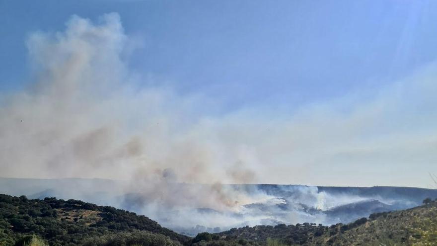 Incendio en el término municipal de Peraleda de San Román.