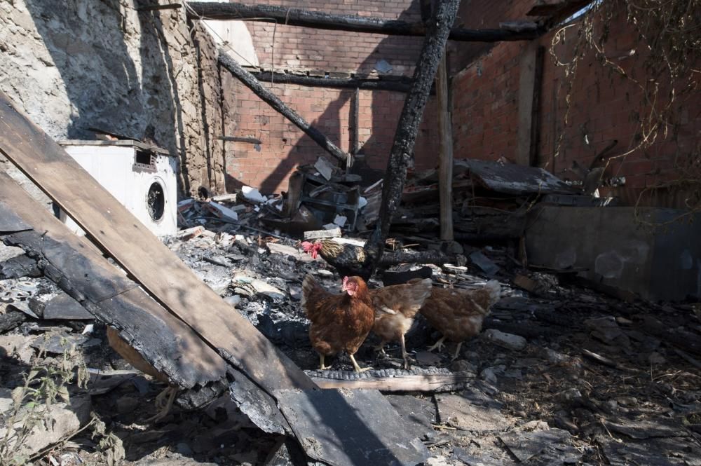 La oleada de incendios azota Ourense - La conselleira de Medio Rural denuncia la elevada actividad incendiaria de este fin de semana, con más de 20 focos en la provincia. El fuego de Trives, con 164 h