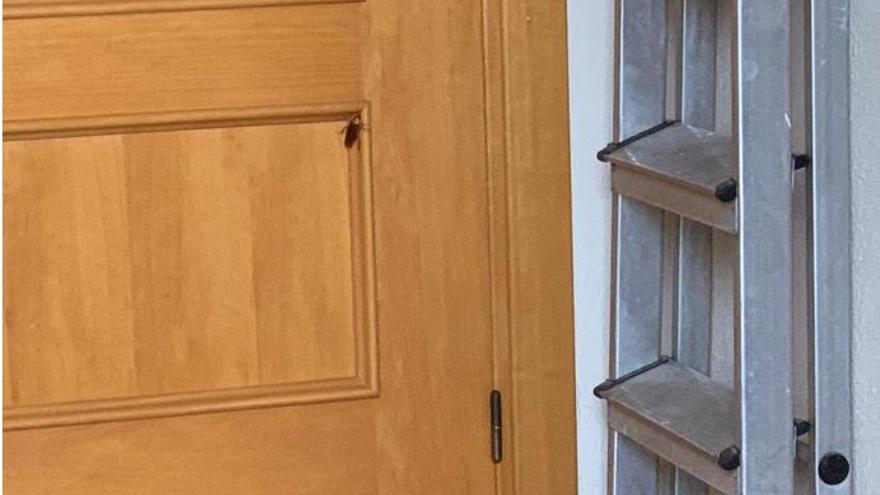 Vecinos de Rocafort claman contra la plaga de cucarachas