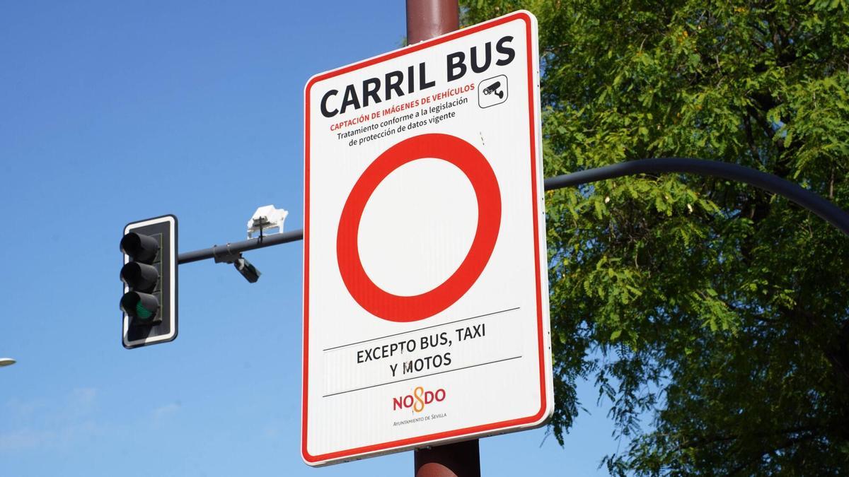Cartel del carril bus y cámara de videovigilancia instalados en el Paseo Colón.