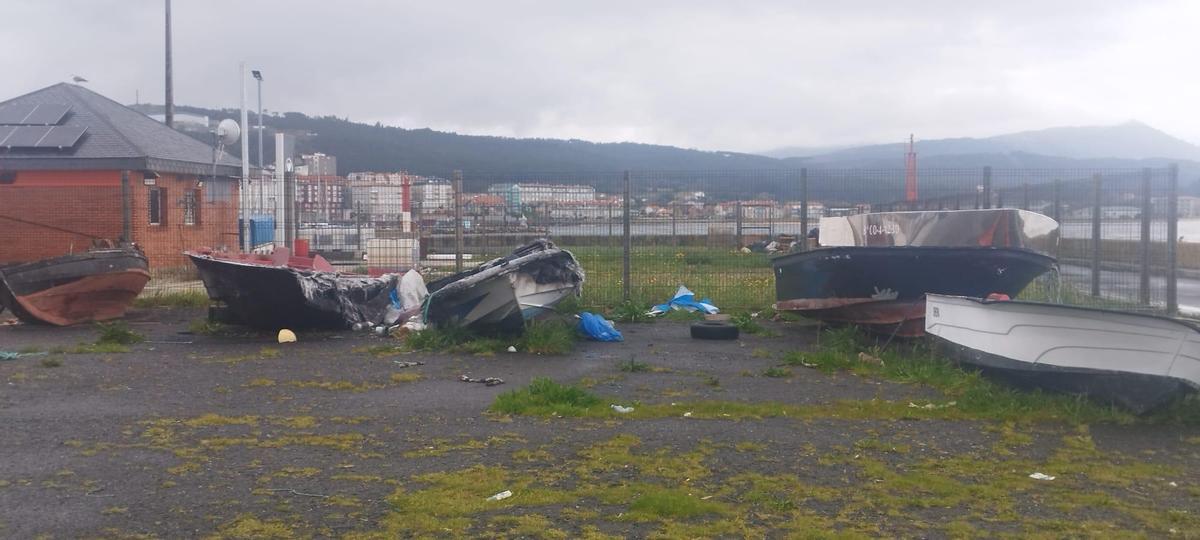 Embarcaciones varadas entre maleza y basura.