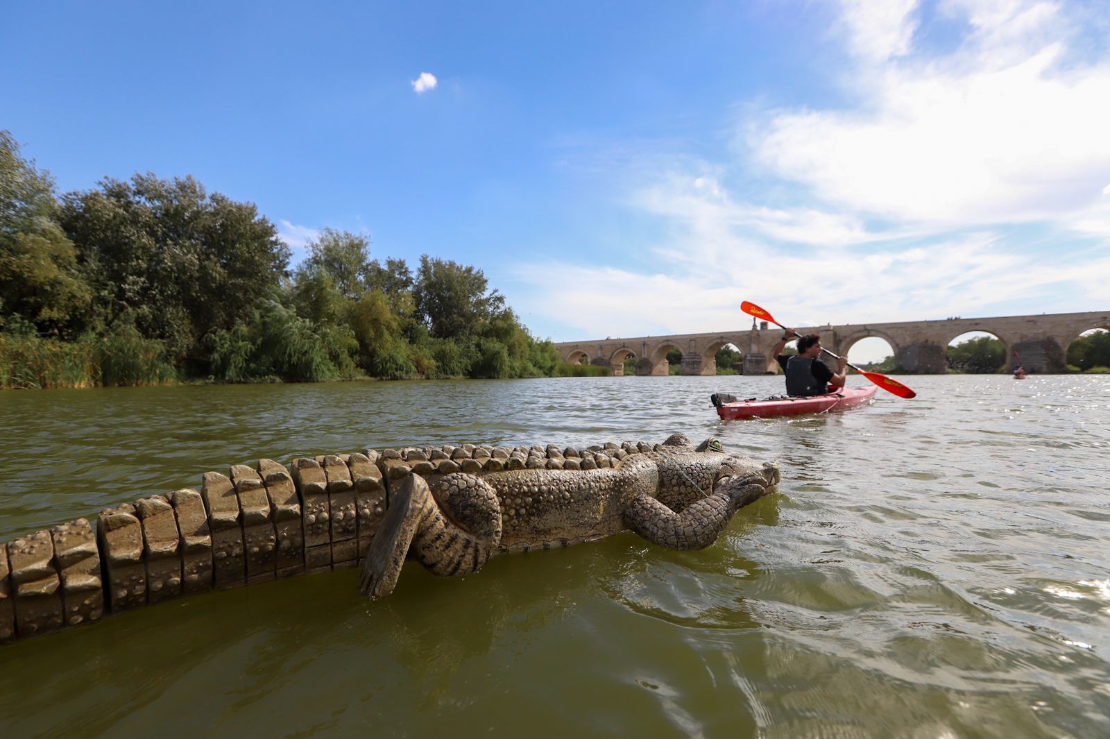 El caimán se echa al río