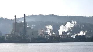 El Concello de Pontevedra señala a Ence como responsable de la «preocupante» situación del caudal del Lérez