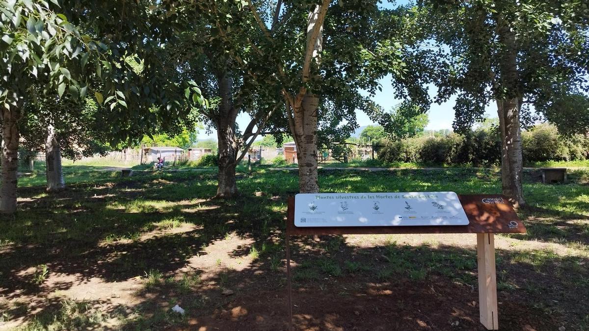 Un dels nous faristols que s'han instal·lat a les Hortes de Santa Eugènia.