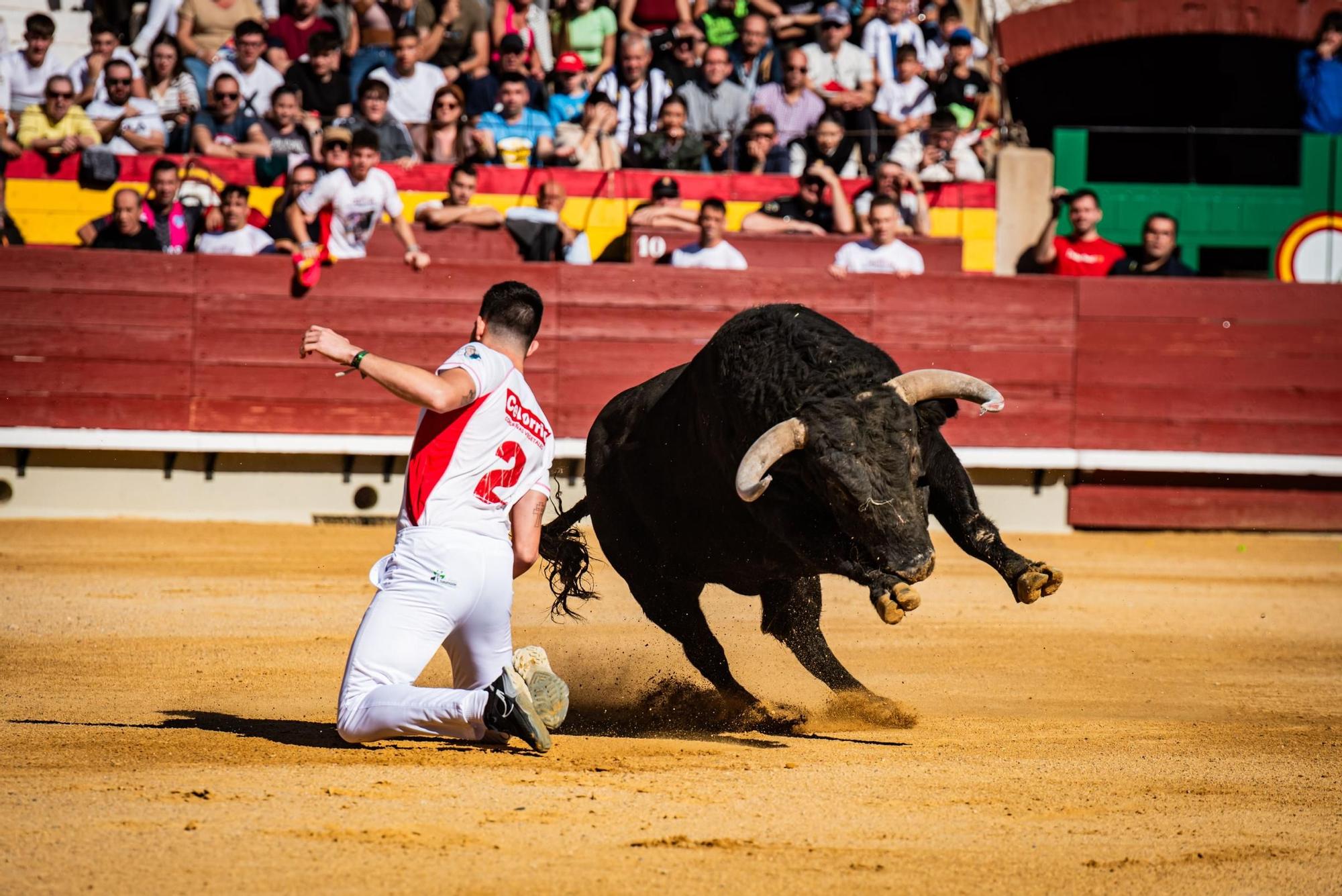 Así ha sido la gran final del campeonato de recortadores