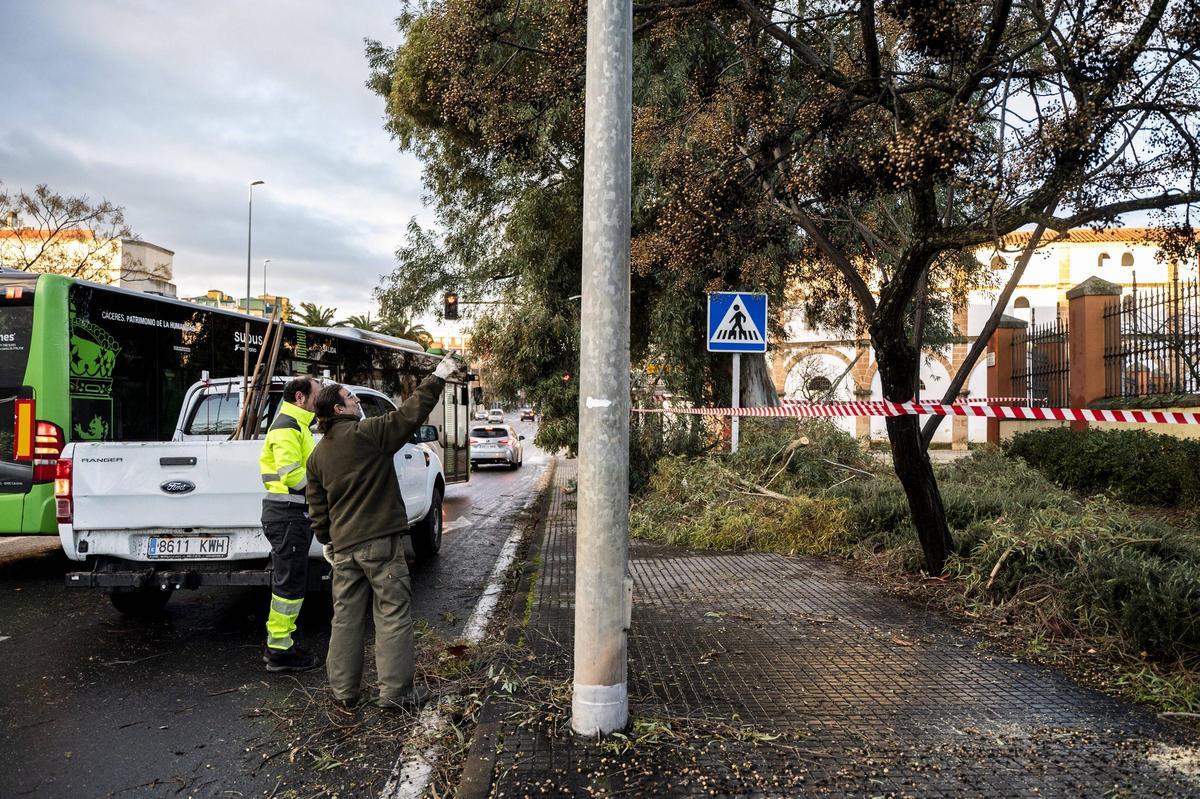 Fotogalería | El temporal en Cáceres, más imágenes