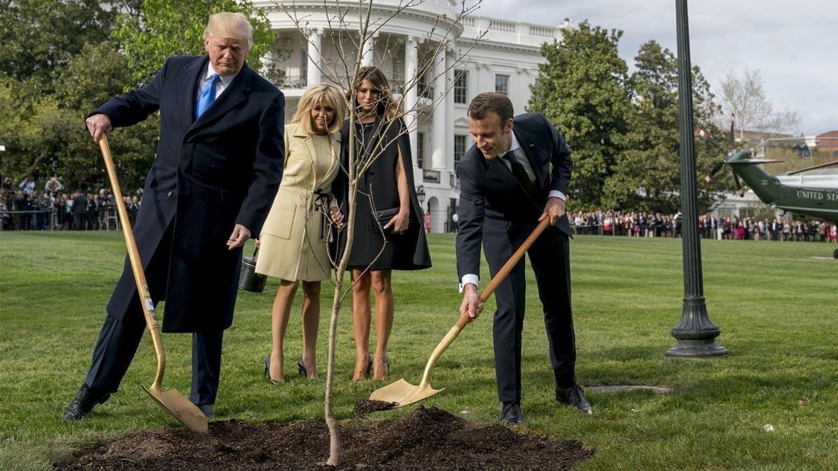 El presidente Donald Trump y su homólogo francés, Emmanuel Macron, plantan un árbol ante la presencia de sus esposas.