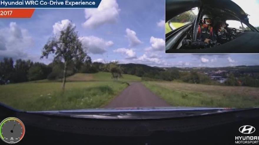 Copilotamos a Dani Sordo