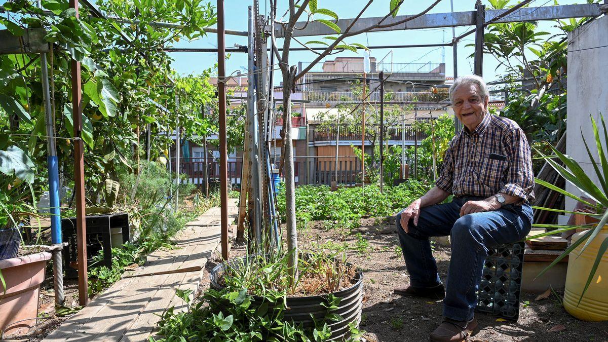 Joan Carulla posa entre cosechas en su huerto urbano del Clot, en la azotea de su casa.