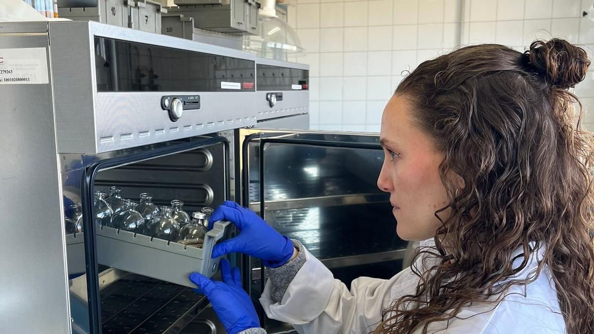 Clàudia Baila, la investigadora castellonense que trabaja en el CSIC y la Universidad de León.