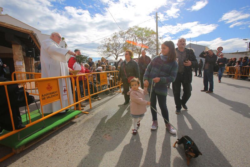 Benidición de animales en la Ermita de Vera y en la Punta