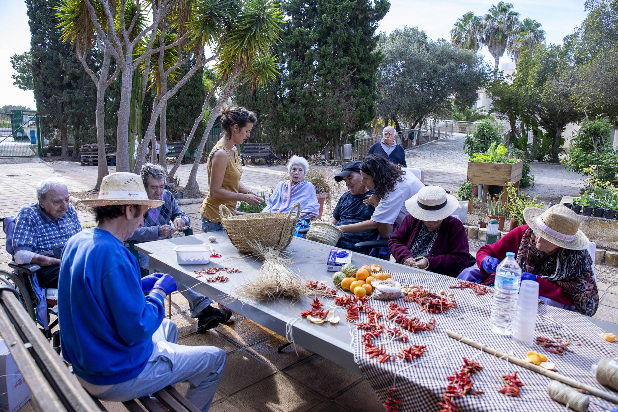 Todas las imágenes de las actividades al aire libre para mayores en Cas Serres