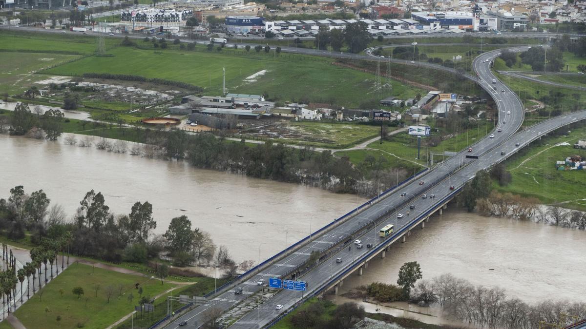 VÍDEO | El agua se acumula en el Charco de la Pava en la Cartuja: el Guadalquivir, bajo vigilancia