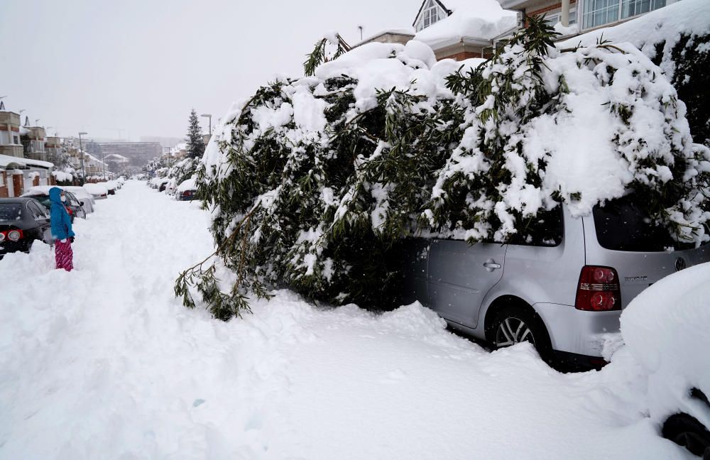 La Comunidad de Madrid ha despertado este sábado cubierta con una espesa manta de nieve que impide la movilidad en la región donde el aeropuerto de Barajas ha tenido que suspender su actividad.