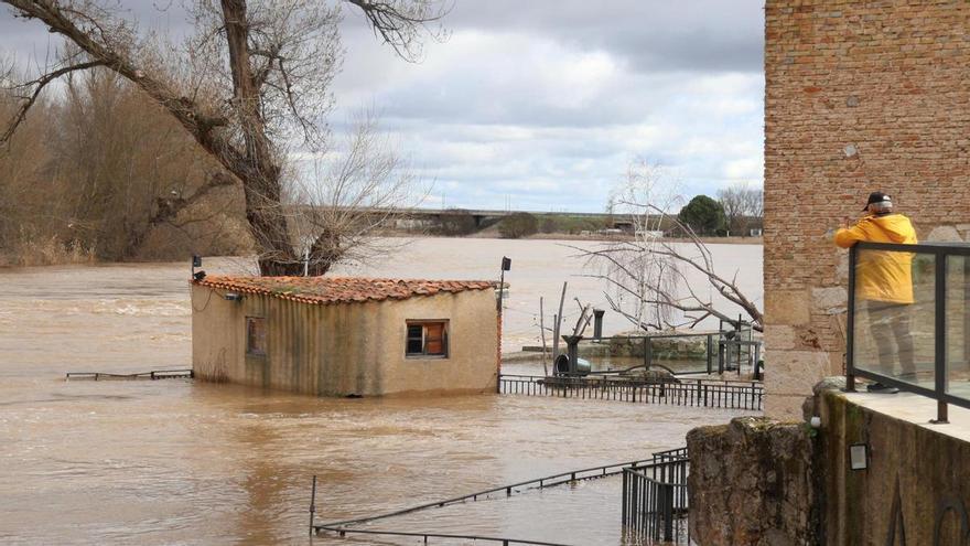 Con el agua del Duero por la cintura en un restaurante: "No esperábamos tanta avenida"