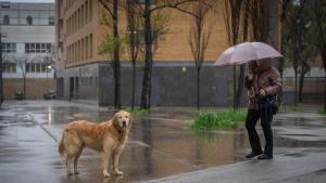 De primavera a hivern: fred i pluges a Catalunya, segons el Meteocat