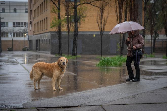 Catalunya activa avisos amarillos por intensidad de lluvias ante la previsión de un martes tormentoso y marcado por chubascos