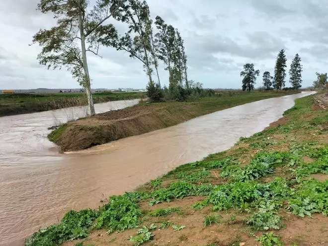 Las obras del río Limonetes evitan daños en Talavera la Real y Balboa durante la mayor crecida de su historia reciente